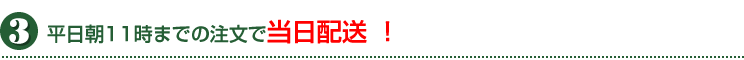 平日11時までのご注文で当日配送！